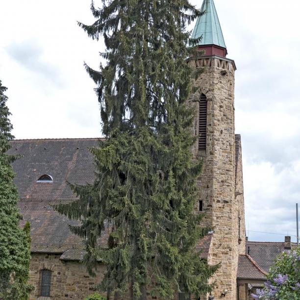 Stgt-Degerloch · Mariae Himmelfahrt